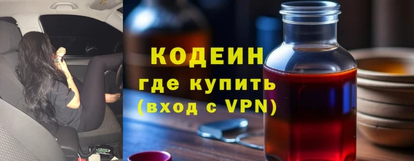 сатива Магас