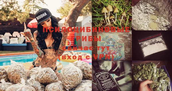 сатива Магас