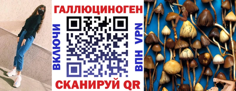 Купить закладки  Дигора  Псилоцибиновые грибы MAGIC MUSHROOMS 